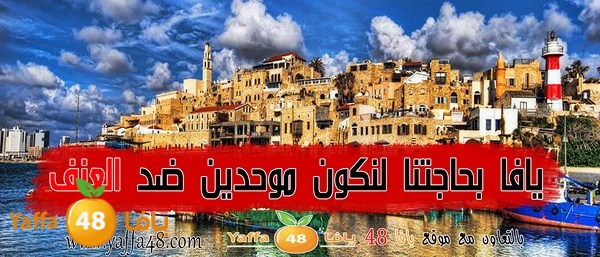 3onfyaffa48 (16).jpg